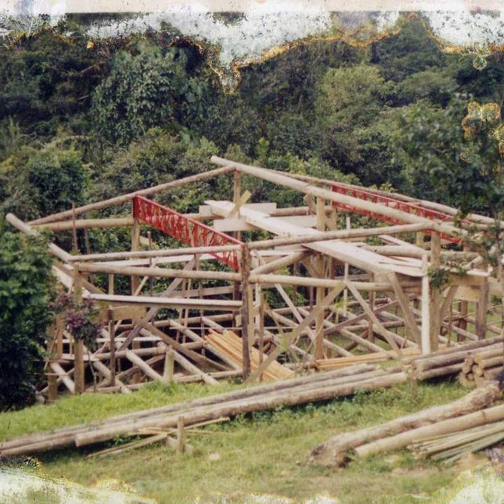 Estrutura de madeira do galpão em construção na encosta arborizada com toras no solo.