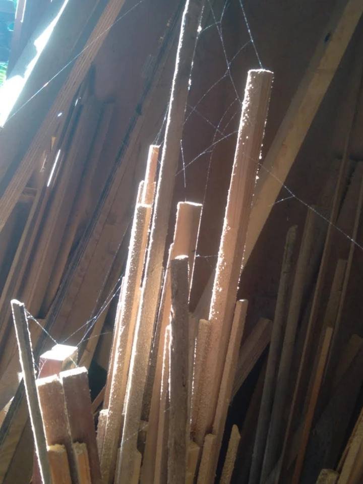 Ripas finas de madeira em pé contra uma parede com teias de aranha sob a luz do sol.